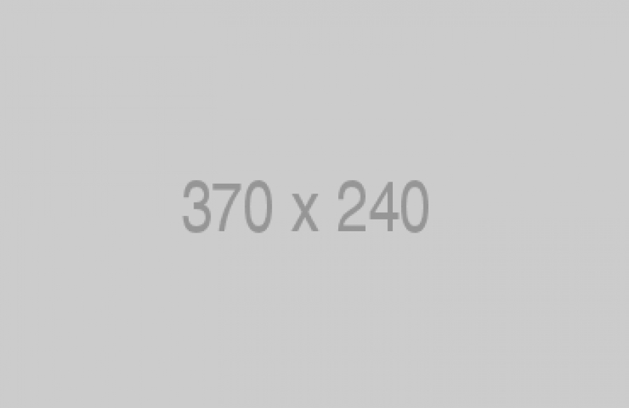 Quisque volutpat mattis eros.